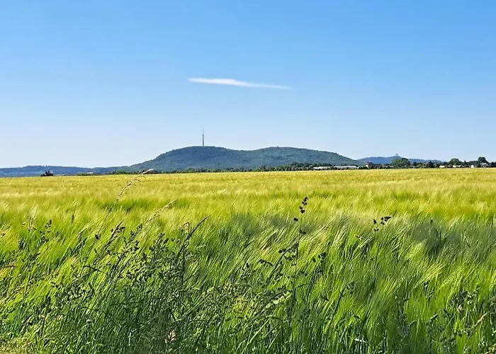 Ferienwohnung Mit Bauernhofflair